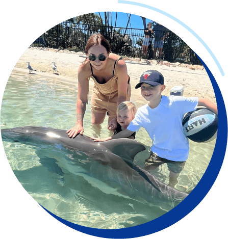 Swimming with dolphins